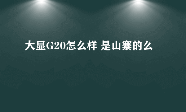 大显G20怎么样 是山寨的么