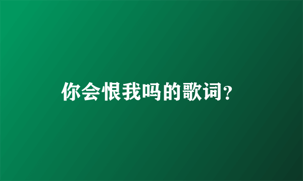 你会恨我吗的歌词？