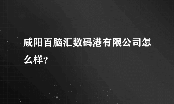 咸阳百脑汇数码港有限公司怎么样？