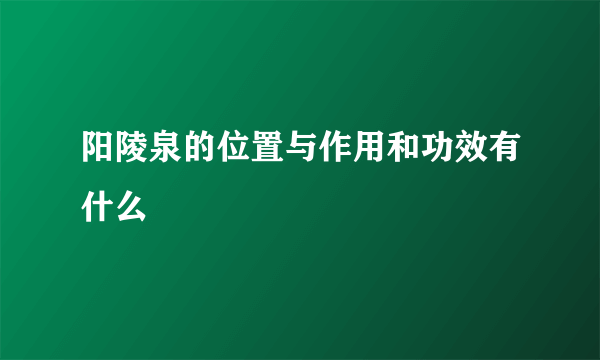 阳陵泉的位置与作用和功效有什么