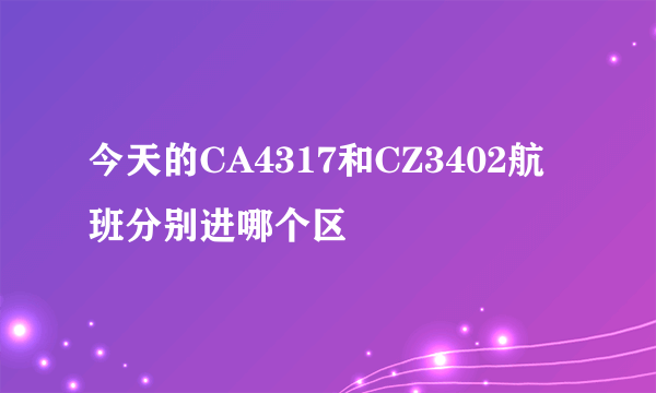 今天的CA4317和CZ3402航班分别进哪个区