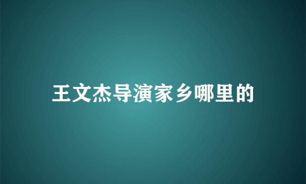 王文杰导演家乡哪里的