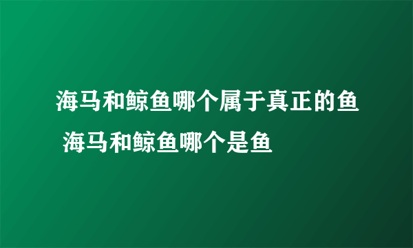 海马和鲸鱼哪个属于真正的鱼 海马和鲸鱼哪个是鱼