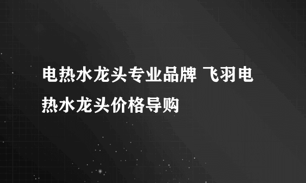 电热水龙头专业品牌 飞羽电热水龙头价格导购