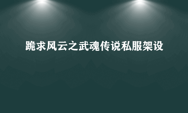 跪求风云之武魂传说私服架设