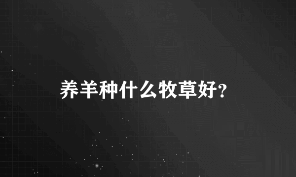 养羊种什么牧草好？