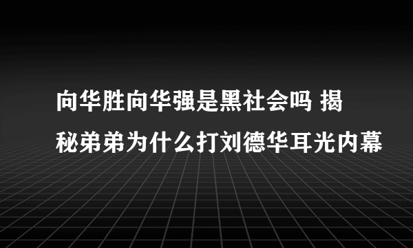 向华胜向华强是黑社会吗 揭秘弟弟为什么打刘德华耳光内幕