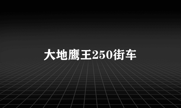 大地鹰王250街车