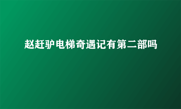 赵赶驴电梯奇遇记有第二部吗