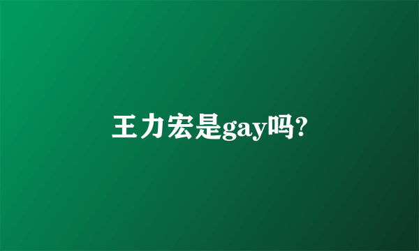 王力宏是gay吗?