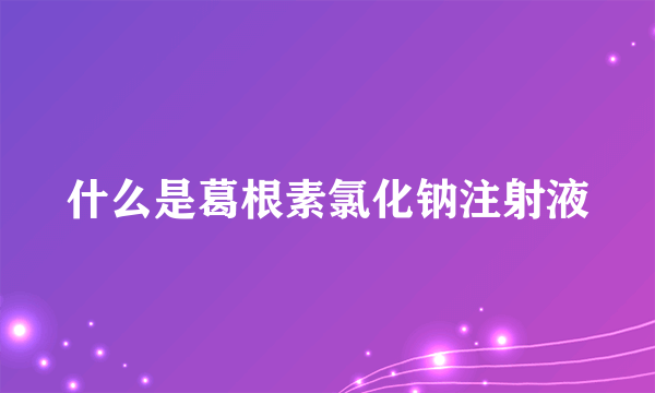 什么是葛根素氯化钠注射液