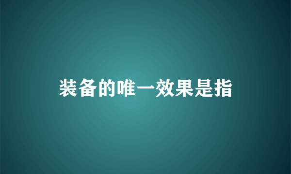 装备的唯一效果是指