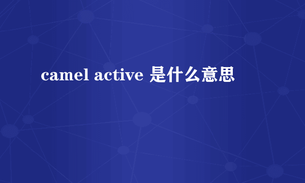 camel active 是什么意思