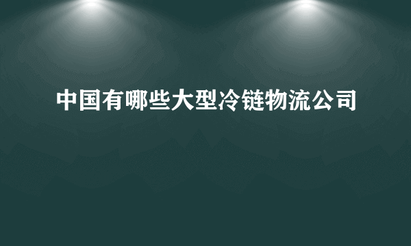 中国有哪些大型冷链物流公司