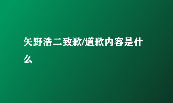 矢野浩二致歉/道歉内容是什么