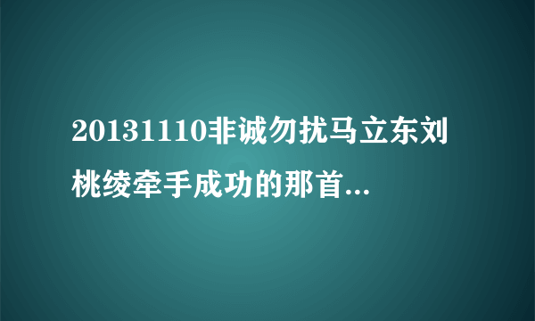 20131110非诚勿扰马立东刘桃绫牵手成功的那首歌曲叫什么