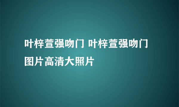 叶梓萱强吻门 叶梓萱强吻门图片高清大照片