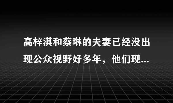 高梓淇和蔡琳的夫妻已经没出现公众视野好多年，他们现在幸福吗？