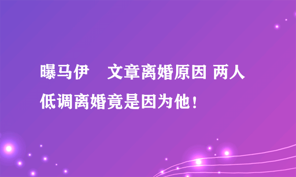 曝马伊琍文章离婚原因 两人低调离婚竟是因为他！