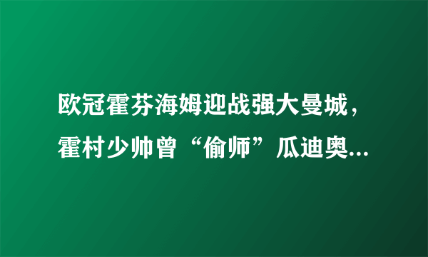 欧冠霍芬海姆迎战强大曼城，霍村少帅曾“偷师”瓜迪奥拉，他是什么来头？