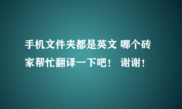 手机文件夹都是英文 哪个砖家帮忙翻译一下吧！ 谢谢！