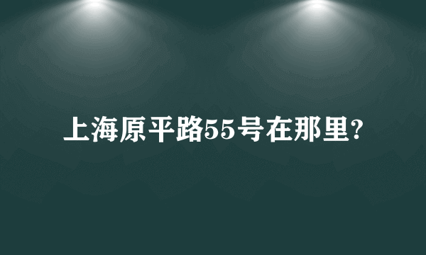 上海原平路55号在那里?