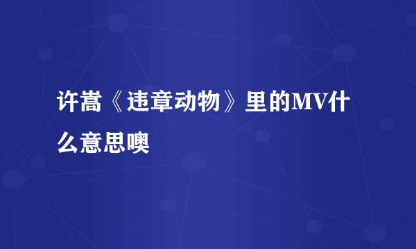 许嵩《违章动物》里的MV什么意思噢