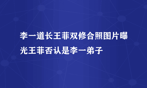 李一道长王菲双修合照图片曝光王菲否认是李一弟子