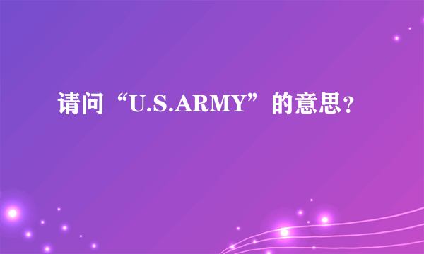 请问“U.S.ARMY”的意思？