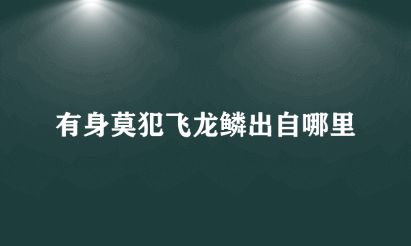 有身莫犯飞龙鳞出自哪里