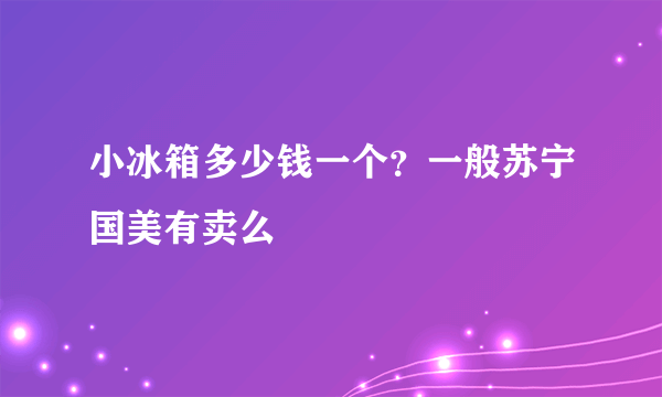 小冰箱多少钱一个？一般苏宁国美有卖么