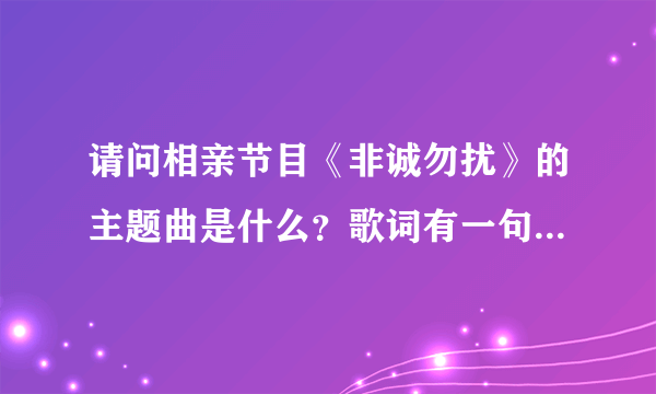 请问相亲节目《非诚勿扰》的主题曲是什么？歌词有一句是“往前一步是幸福，退后一步是孤独”