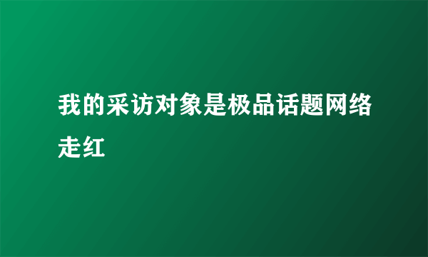 我的采访对象是极品话题网络走红