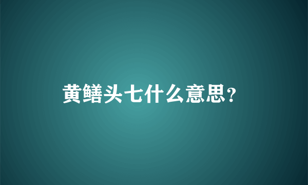 黄鳝头七什么意思？