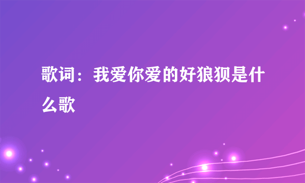 歌词：我爱你爱的好狼狈是什么歌