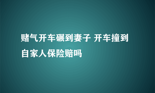 赌气开车碾到妻子 开车撞到自家人保险赔吗