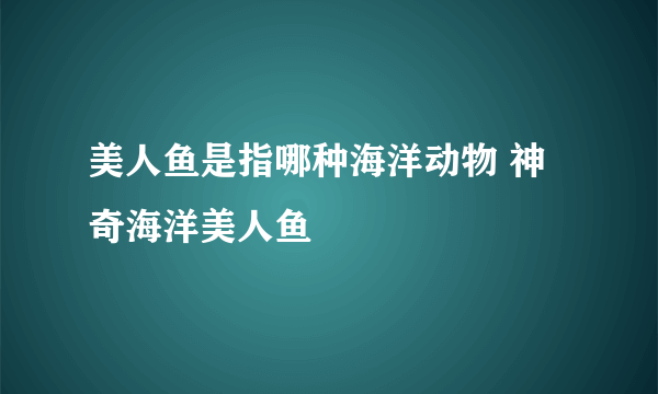 美人鱼是指哪种海洋动物 神奇海洋美人鱼