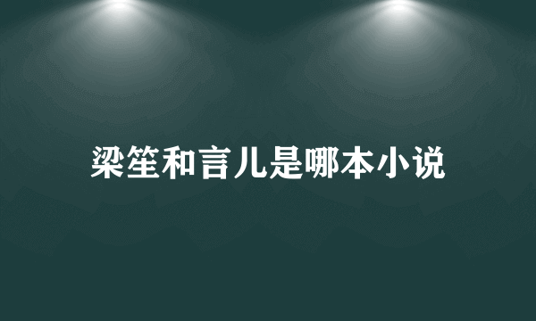 梁笙和言儿是哪本小说