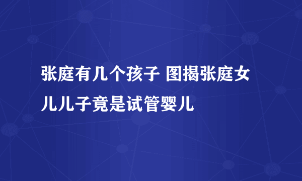 张庭有几个孩子 图揭张庭女儿儿子竟是试管婴儿