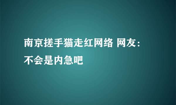 南京搓手猫走红网络 网友：不会是内急吧