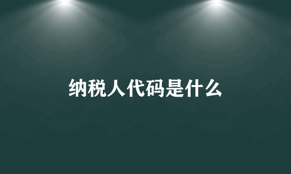 纳税人代码是什么