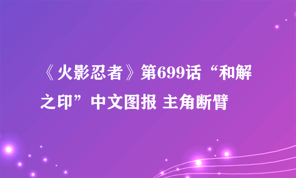 《火影忍者》第699话“和解之印”中文图报 主角断臂