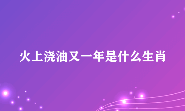 火上浇油又一年是什么生肖