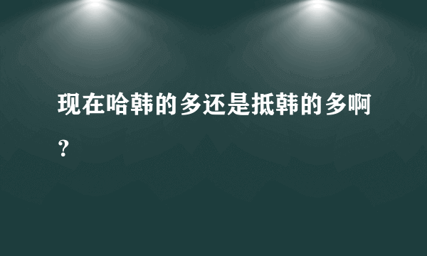 现在哈韩的多还是抵韩的多啊？