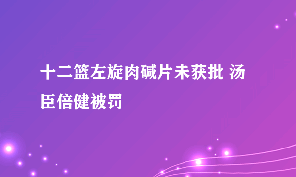 十二篮左旋肉碱片未获批 汤臣倍健被罚