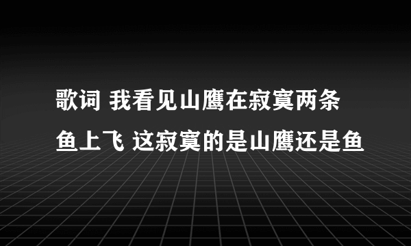 歌词 我看见山鹰在寂寞两条鱼上飞 这寂寞的是山鹰还是鱼