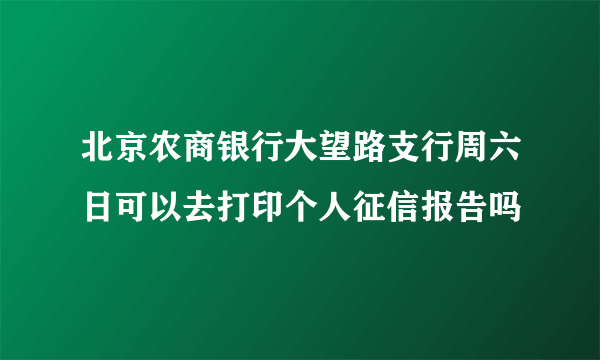 北京农商银行大望路支行周六日可以去打印个人征信报告吗