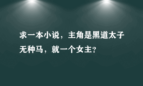 求一本小说，主角是黑道太子无种马，就一个女主？