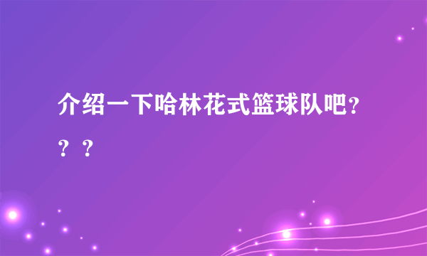 介绍一下哈林花式篮球队吧？？？