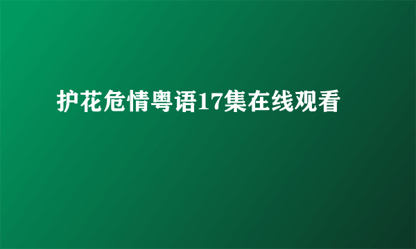 护花危情粤语17集在线观看